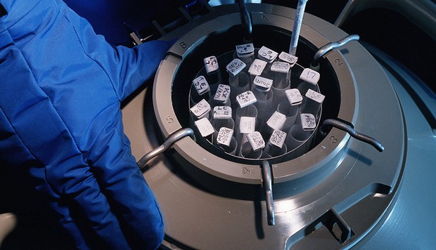 ESTADOS UNIDOS - 1 DE ENERO: Embriones humanos congelados en Nueva York, Estados Unidos, el 1 de enero de 1997 (Foto de Remi BENALI / Gamma-Rapho a través de Getty Images)